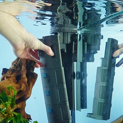 aquarium supplies a cover being placed over aquarium heater